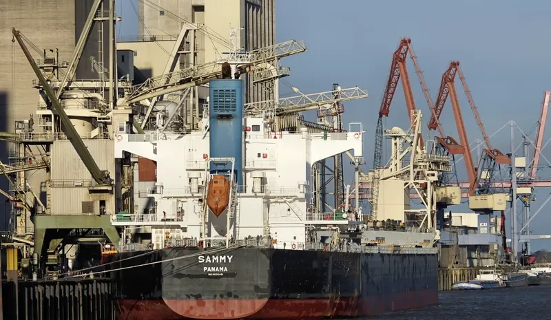 SAMMY Bulk Carrier IMO 9582491 photo 3