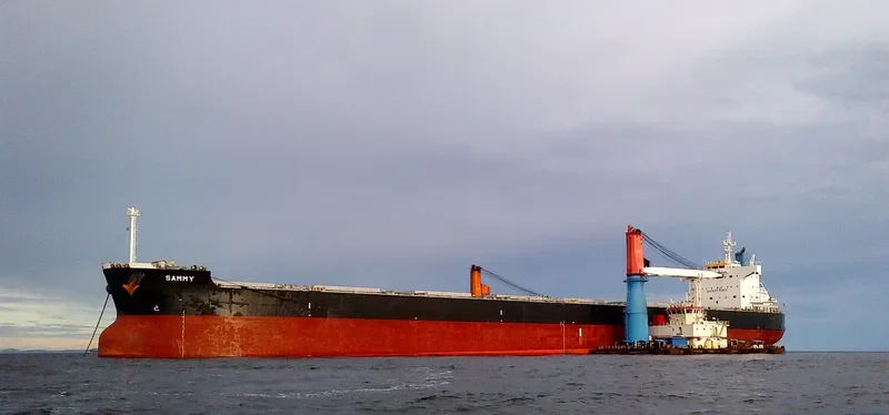 SAMMY Bulk Carrier IMO 9582491 photo 5