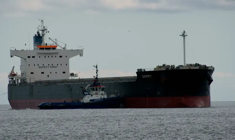 SAMMY Bulk Carrier IMO 9582491 photo 8