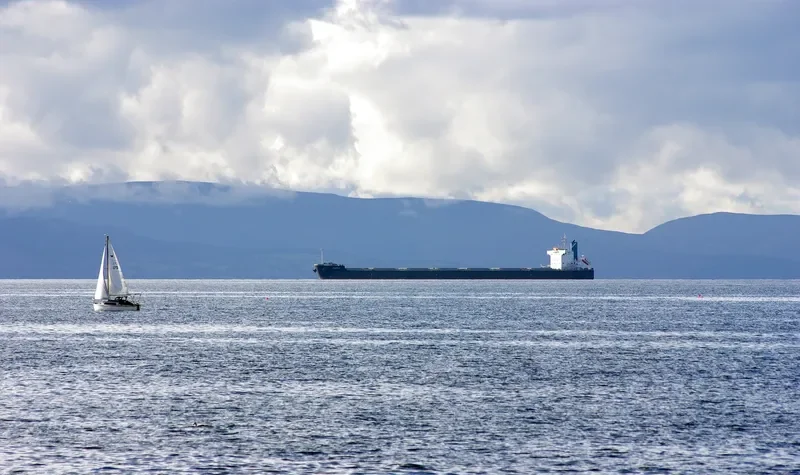 SAMMY Bulk Carrier IMO 9582491 photo 9