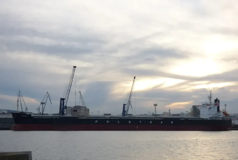KARPATY Bulk Carrier IMO 9582506 photo 3