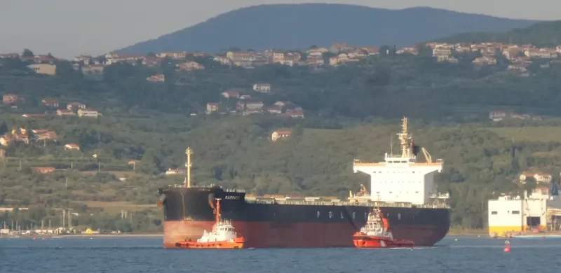 KARPATY Bulk Carrier IMO 9582506 photo 9