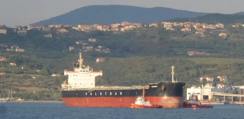 KARPATY Bulk Carrier IMO 9582506 photo 10