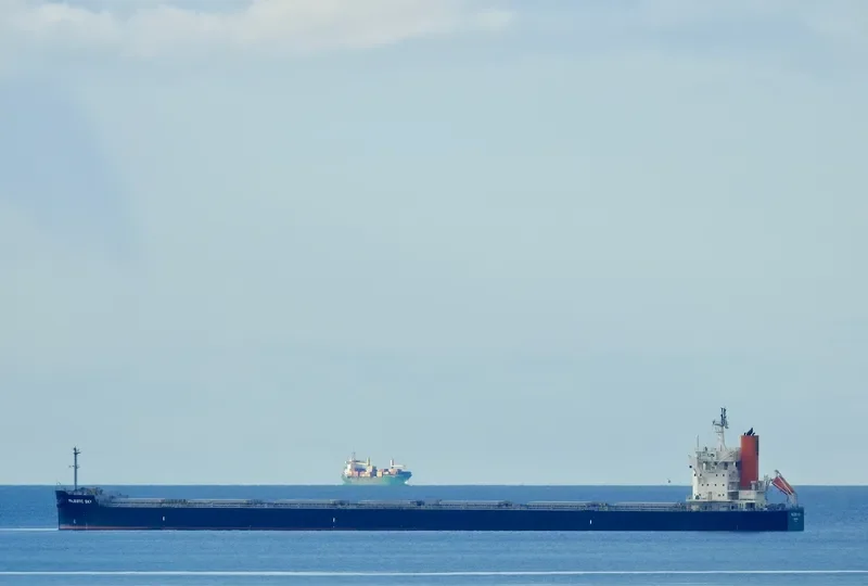 MAJESTIC SKY Bulk Carrier IMO 9582520