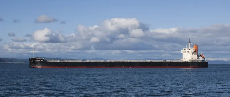 MAJESTIC SKY Bulk Carrier IMO 9582520 photo 3