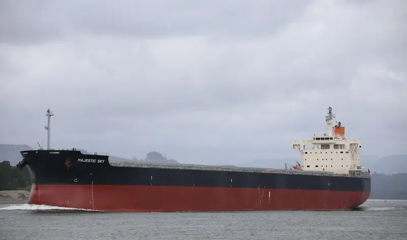 MAJESTIC SKY Bulk Carrier IMO 9582520 photo 5