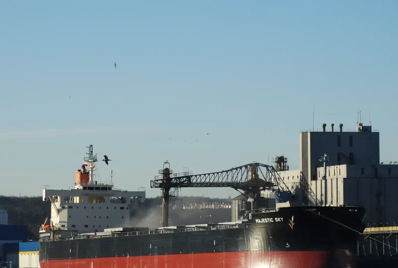 MAJESTIC SKY Bulk Carrier IMO 9582520 photo 8