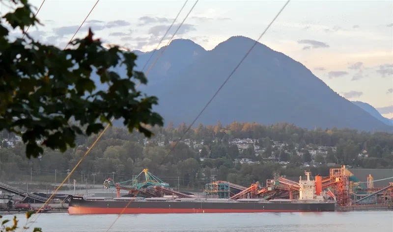 MAJESTIC SKY Bulk Carrier IMO 9582520 photo 10
