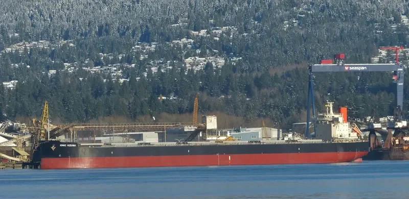 IONIC KIZUNA Bulk Carrier IMO 9582532