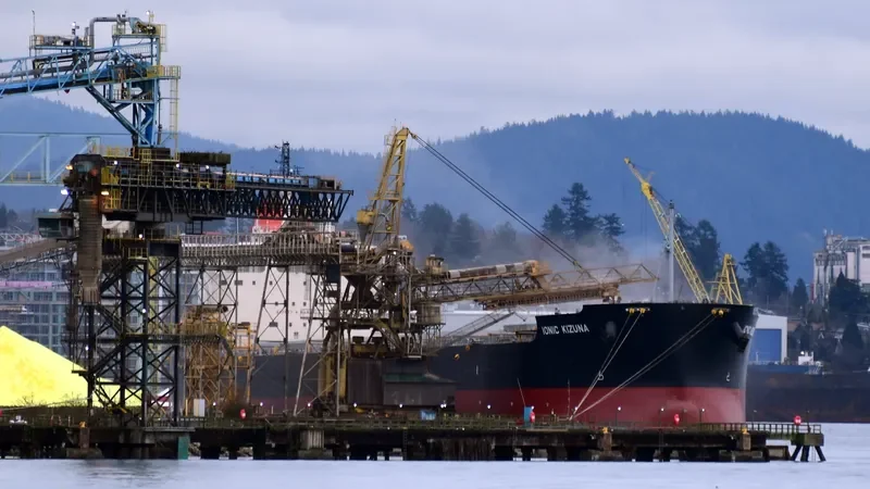 IONIC KIZUNA Bulk Carrier IMO 9582532 photo 2