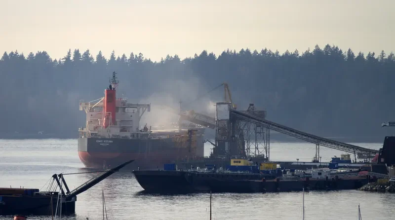 IONIC KIZUNA Bulk Carrier IMO 9582532 photo 3