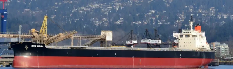 IONIC KIZUNA Bulk Carrier IMO 9582532 photo 5