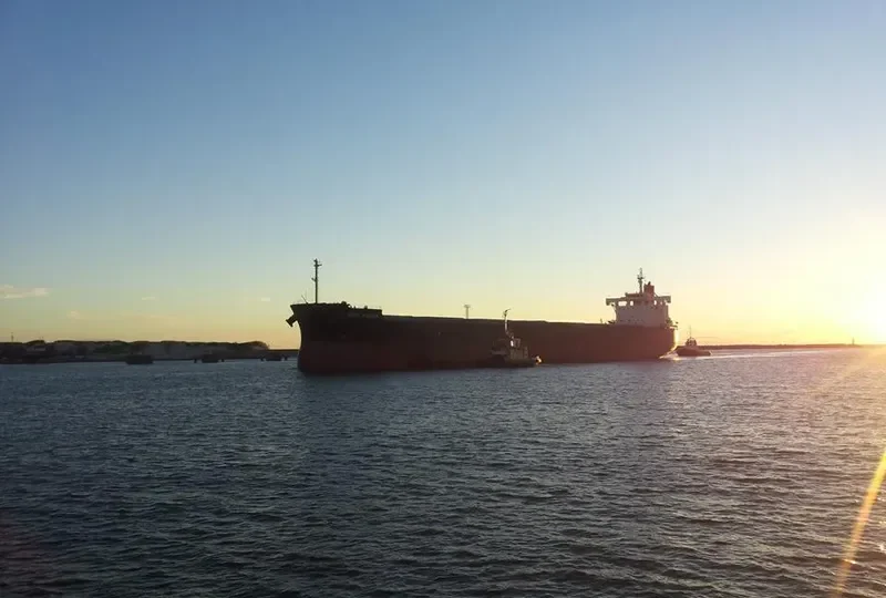 IONIC KIZUNA Bulk Carrier IMO 9582532 photo 8