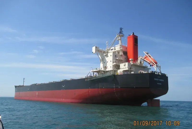 ENERGY SUNRISE Bulk Carrier IMO 9582544