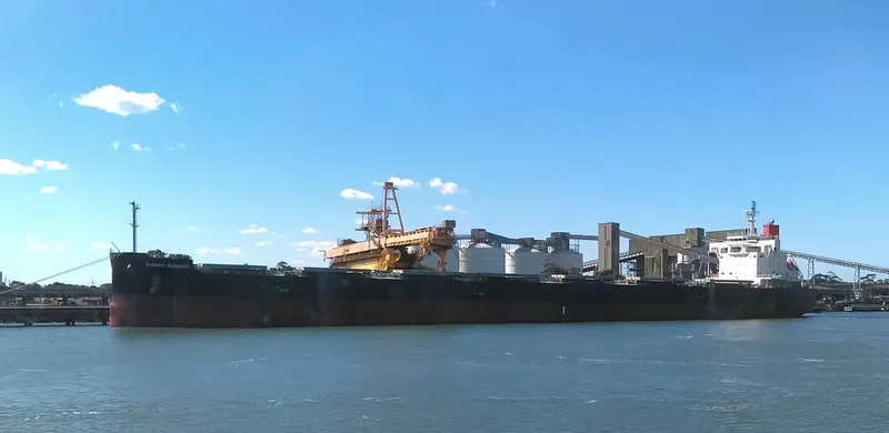 ENERGY SUNRISE Bulk Carrier IMO 9582544 photo 2