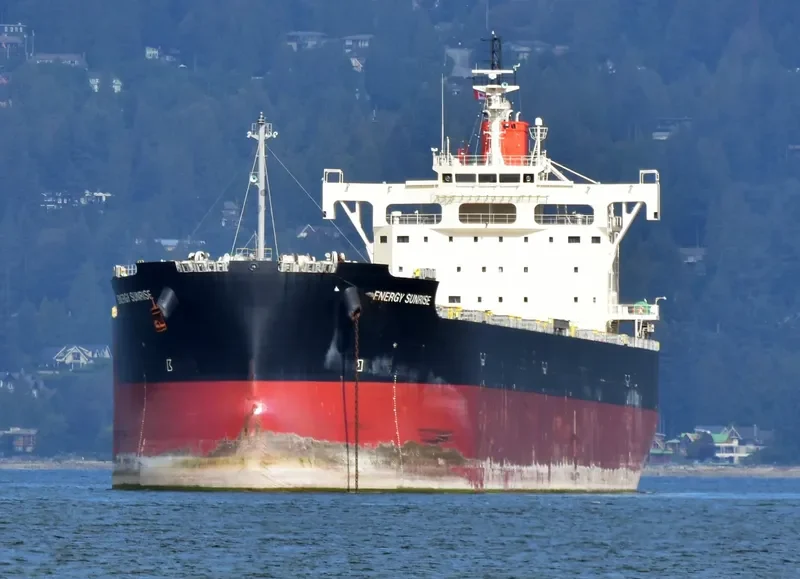 ENERGY SUNRISE Bulk Carrier IMO 9582544 photo 3