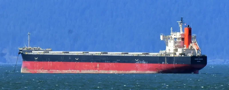 ENERGY SUNRISE Bulk Carrier IMO 9582544 photo 6