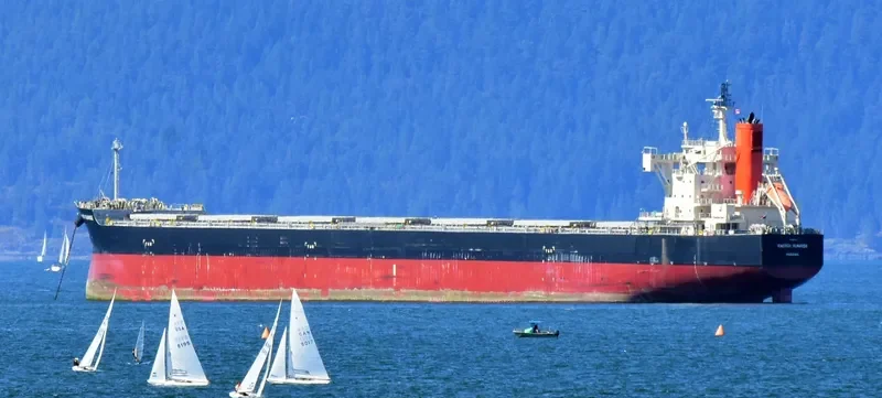 ENERGY SUNRISE Bulk Carrier IMO 9582544 photo 8