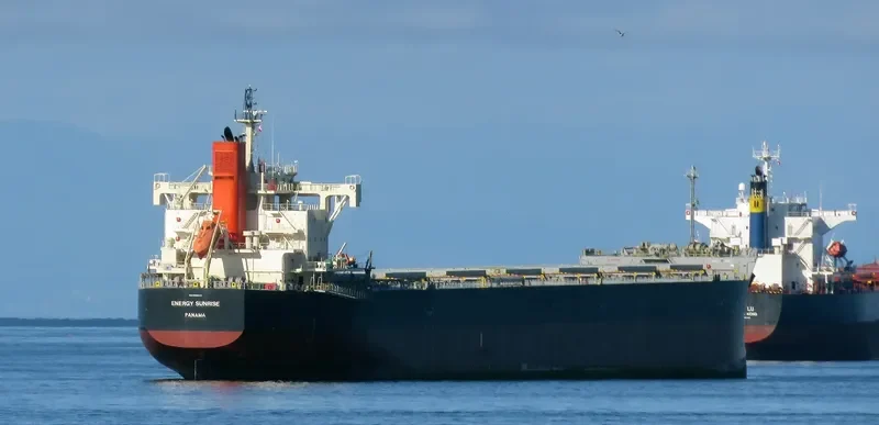 ENERGY SUNRISE Bulk Carrier IMO 9582544 photo 9