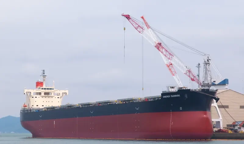 ENERGY SUNRISE Bulk Carrier IMO 9582544 photo 10
