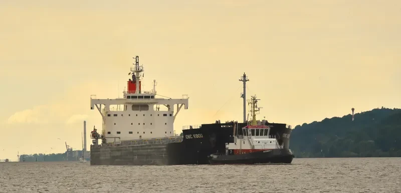 IONIC KIBOU Bulk Carrier IMO 9582556 photo 2