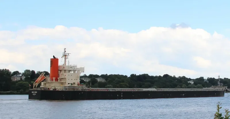 IONIC KIBOU Bulk Carrier IMO 9582556 photo 4