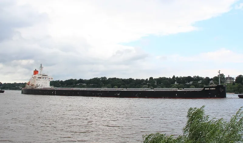 IONIC KIBOU Bulk Carrier IMO 9582556 photo 5