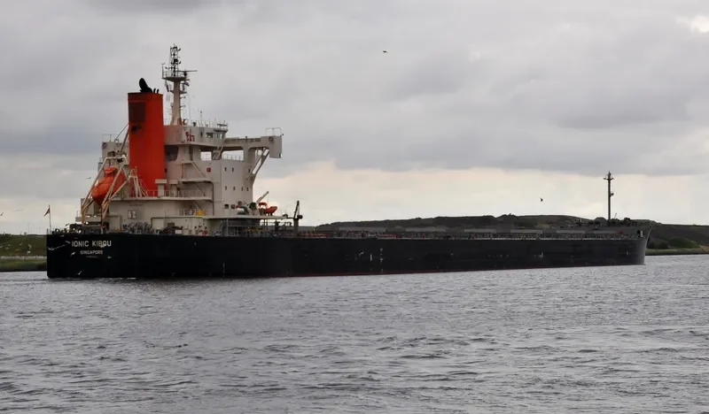 IONIC KIBOU Bulk Carrier IMO 9582556 photo 6