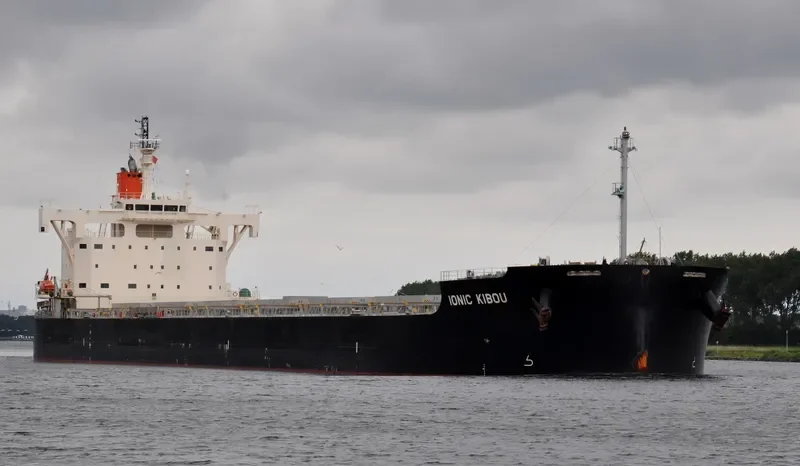 IONIC KIBOU Bulk Carrier IMO 9582556 photo 7