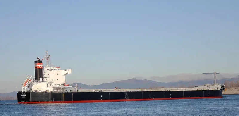 KINOURA Bulk Carrier IMO 9582843
