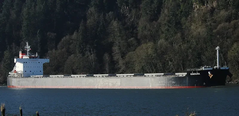 KINOURA Bulk Carrier IMO 9582843 photo 2