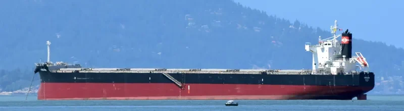KINOURA Bulk Carrier IMO 9582843 photo 9