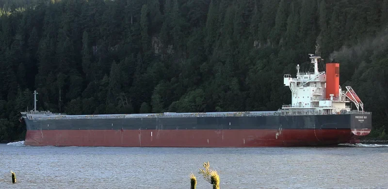 PRECIOUS SKY Bulk Carrier IMO 9582946