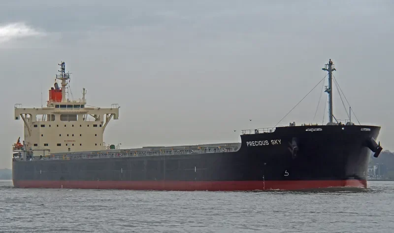 PRECIOUS SKY Bulk Carrier IMO 9582946 photo 3
