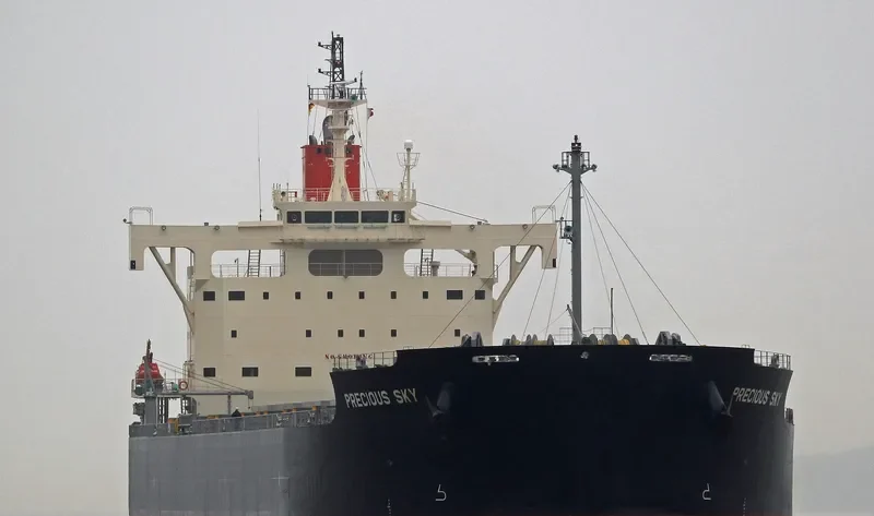 PRECIOUS SKY Bulk Carrier IMO 9582946 photo 4
