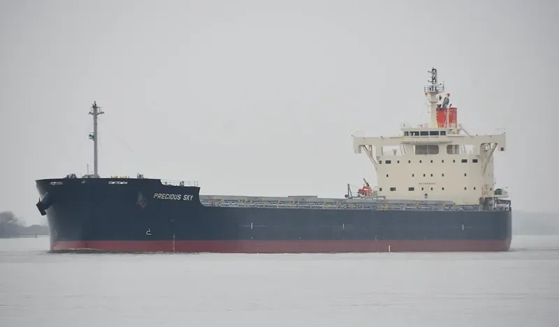 PRECIOUS SKY Bulk Carrier IMO 9582946 photo 5