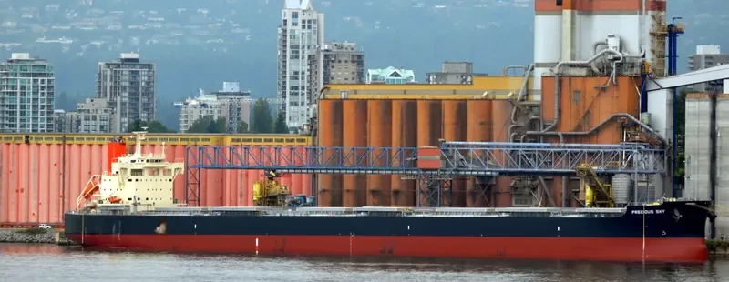 PRECIOUS SKY Bulk Carrier IMO 9582946 photo 8