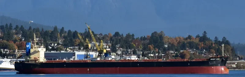 BRIGHT WIND Bulk Carrier IMO 9582972 photo 3