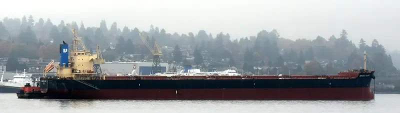 BRIGHT WIND Bulk Carrier IMO 9582972 photo 4