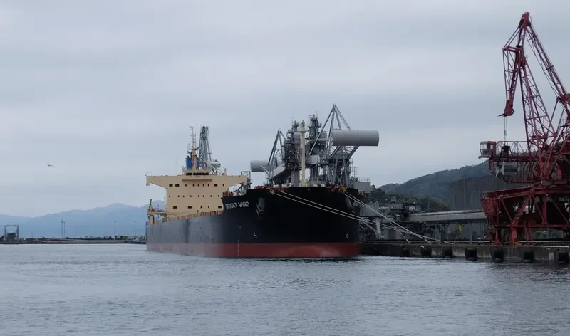 BRIGHT WIND Bulk Carrier IMO 9582972 photo 5