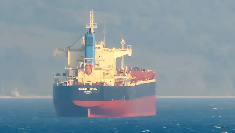 BRIGHT WIND Bulk Carrier IMO 9582972 photo 7