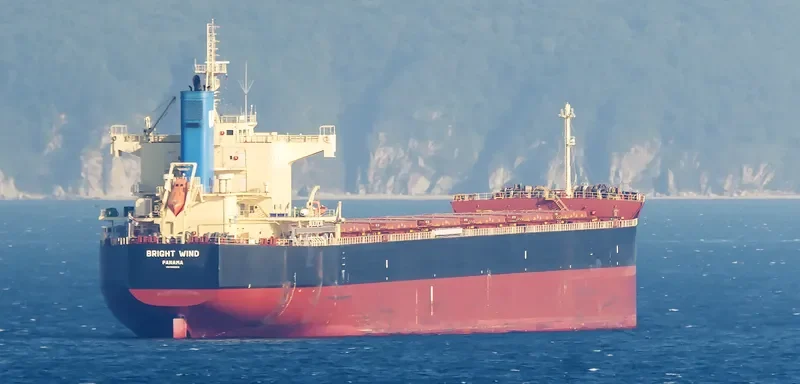 BRIGHT WIND Bulk Carrier IMO 9582972 photo 8