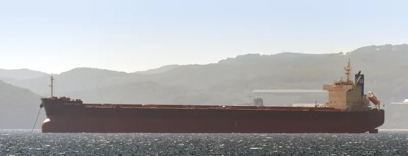 BRIGHT WIND Bulk Carrier IMO 9582972 photo 9