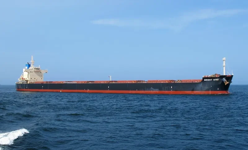 BRIGHT WIND Bulk Carrier IMO 9582972 photo 10