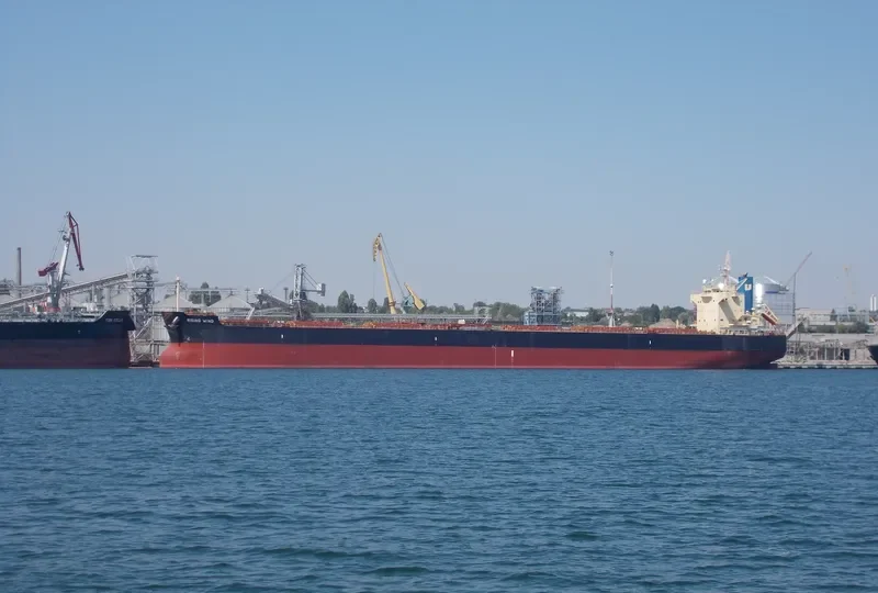 RISING WIND Bulk Carrier IMO 9582984 photo 6