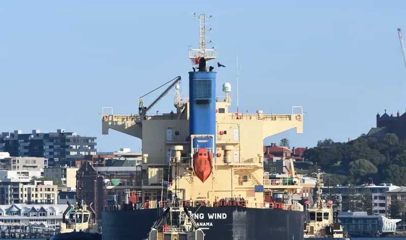 RISING WIND Bulk Carrier IMO 9582984 photo 9