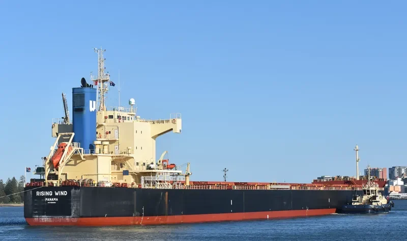 RISING WIND Bulk Carrier IMO 9582984 photo 10