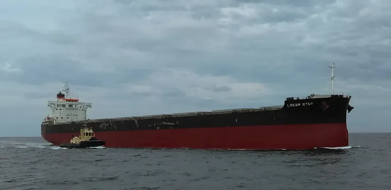 DREAM STAR Bulk Carrier IMO 9582996 photo 2