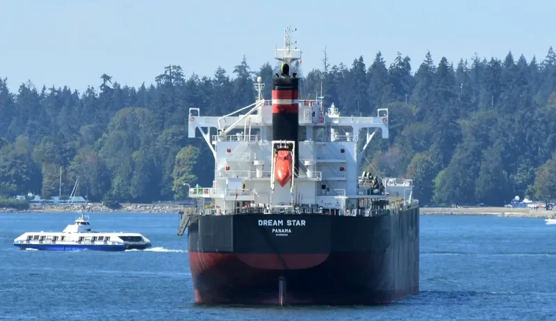 DREAM STAR Bulk Carrier IMO 9582996 photo 3