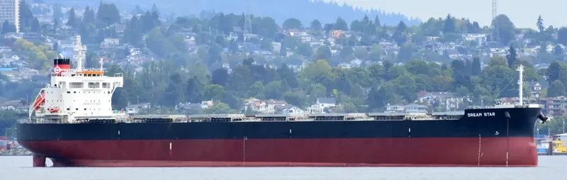 DREAM STAR Bulk Carrier IMO 9582996 photo 5